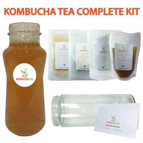 kombucha tea starter kit